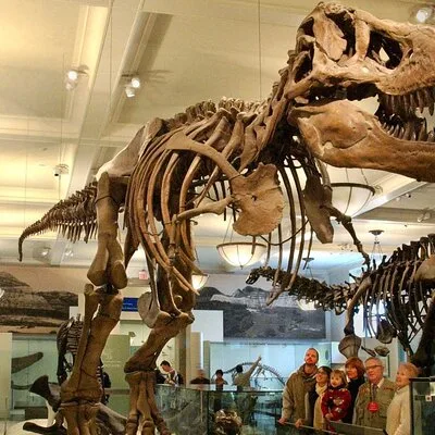 American Museum of Natural History